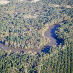 Aerial view of flint river flowing