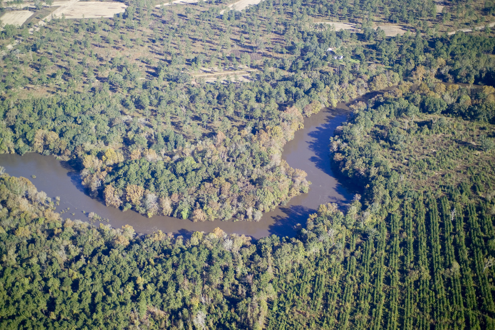 Aerial view of flint river flowing