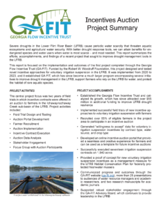 GA-FIT Auction Summary Report_Page_1