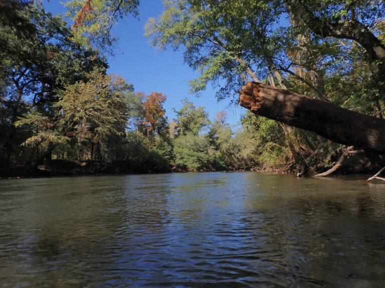 Ichaway Milford Oct 2023 200cfs (1)