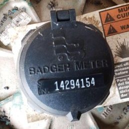 Badger
